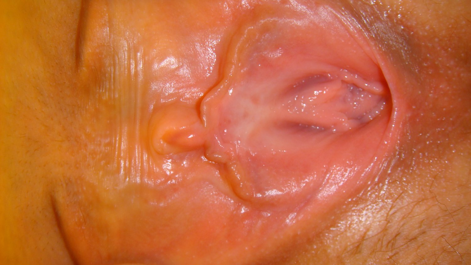 35HR2 Rose from Indiana, BBW Spreads #Ie1tVmrS