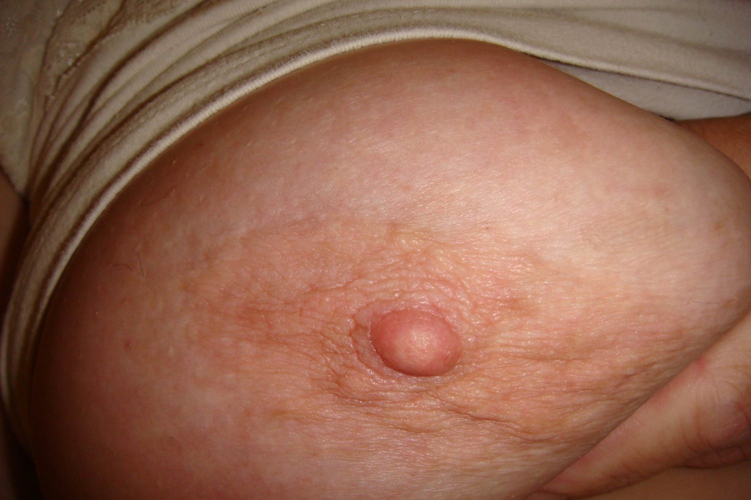 35HR2 Rose from Indiana, BBW Spreads #wWYFi1EU