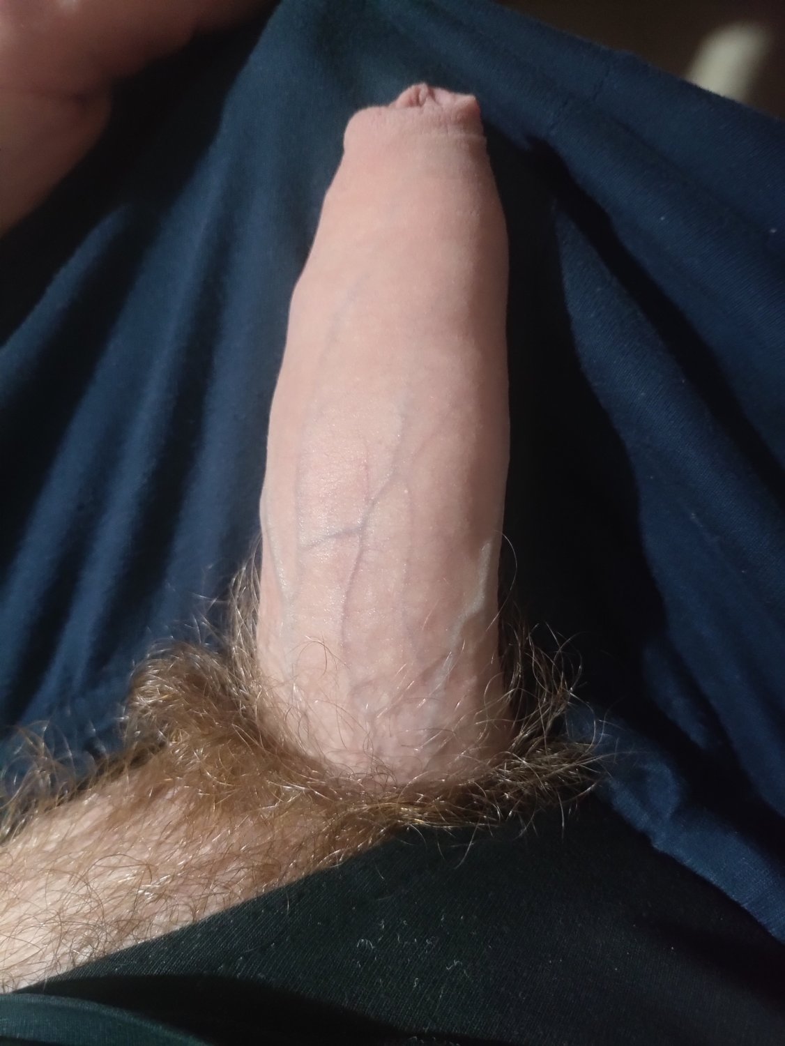 My Cock #vXEJCYIA