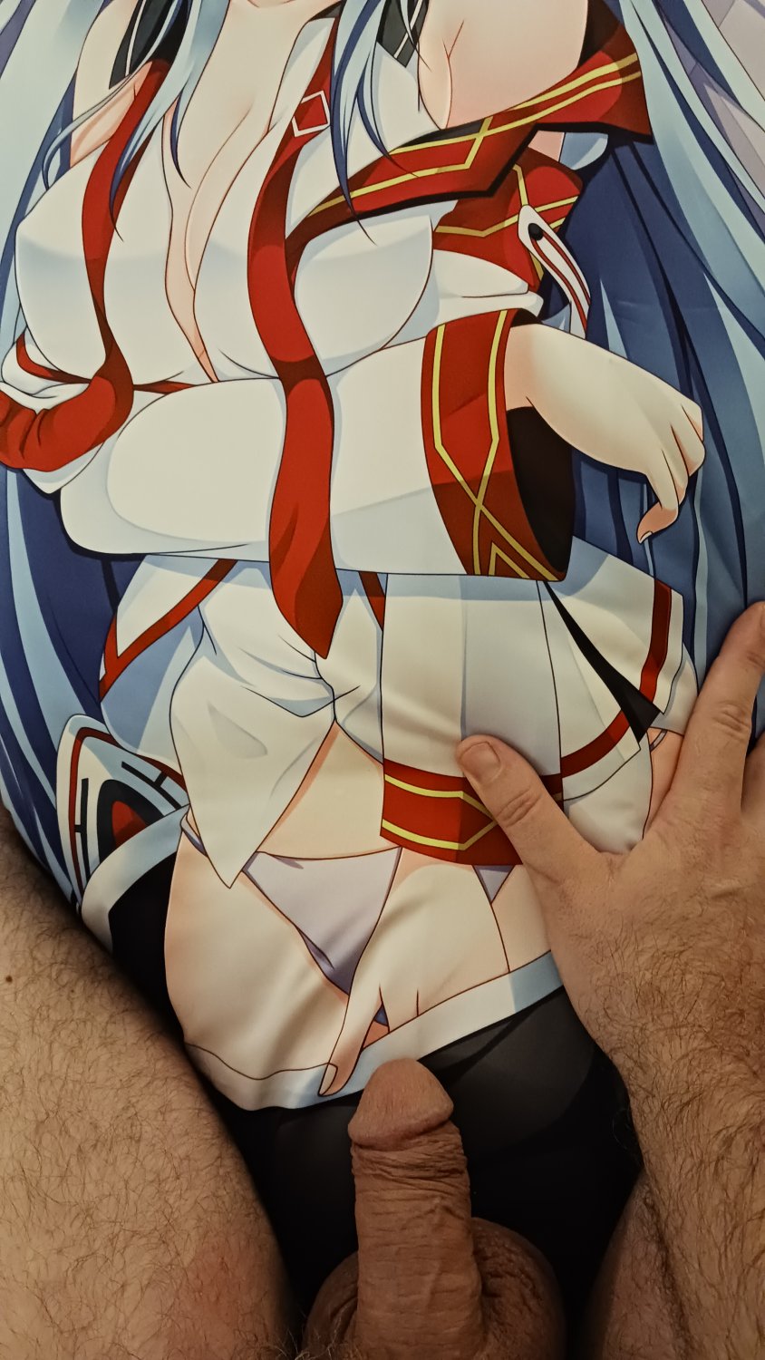 Aine (Masō Gakuen HxH) Dakimakura - Edging preview #PqK388WG