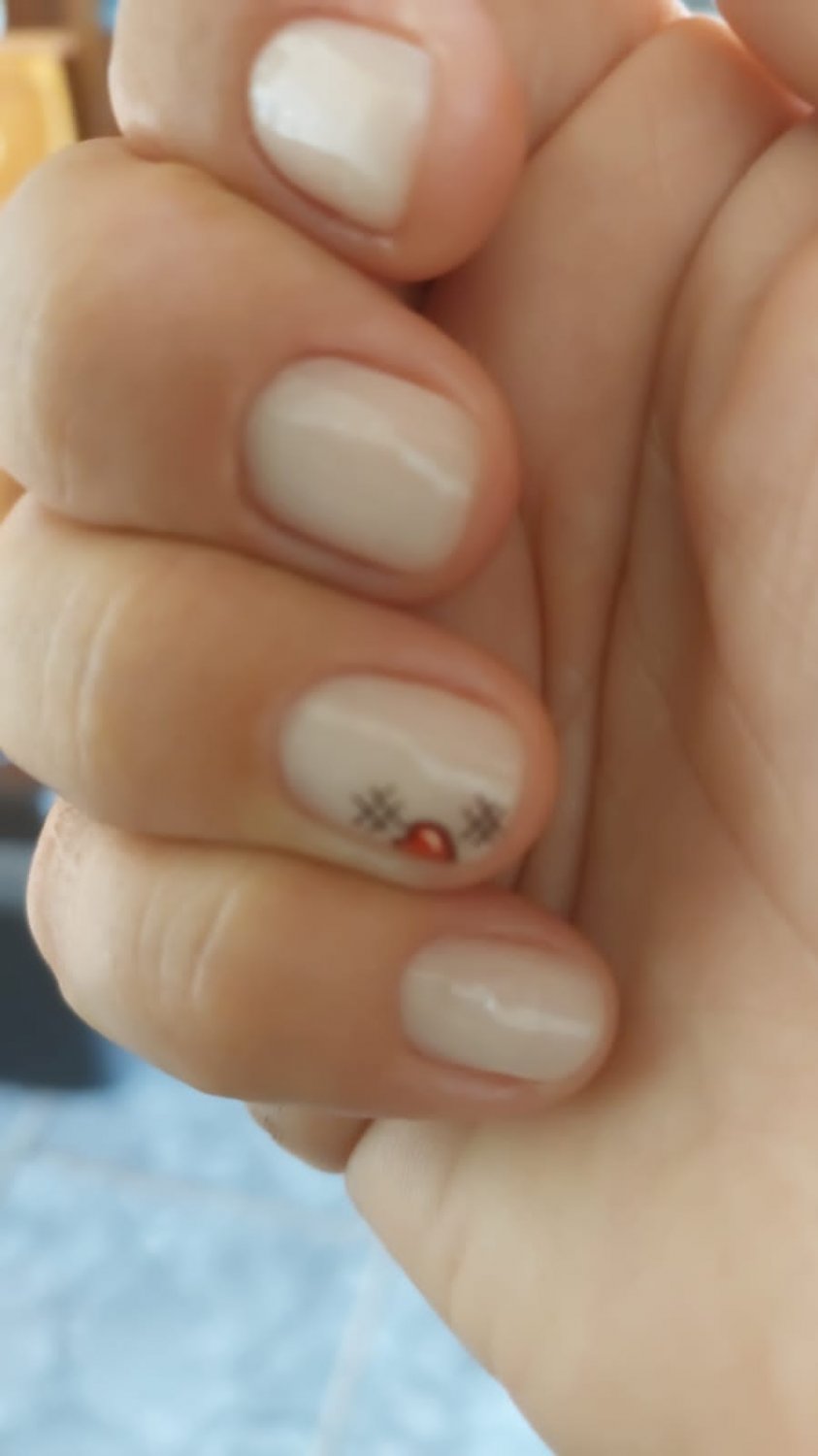 IMG-20231210-WA0006 #TJJCNYFz