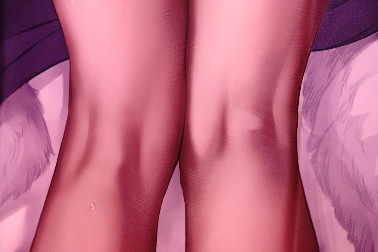 Minamoto-no-Raikou dakimakura #JCLHx2mm