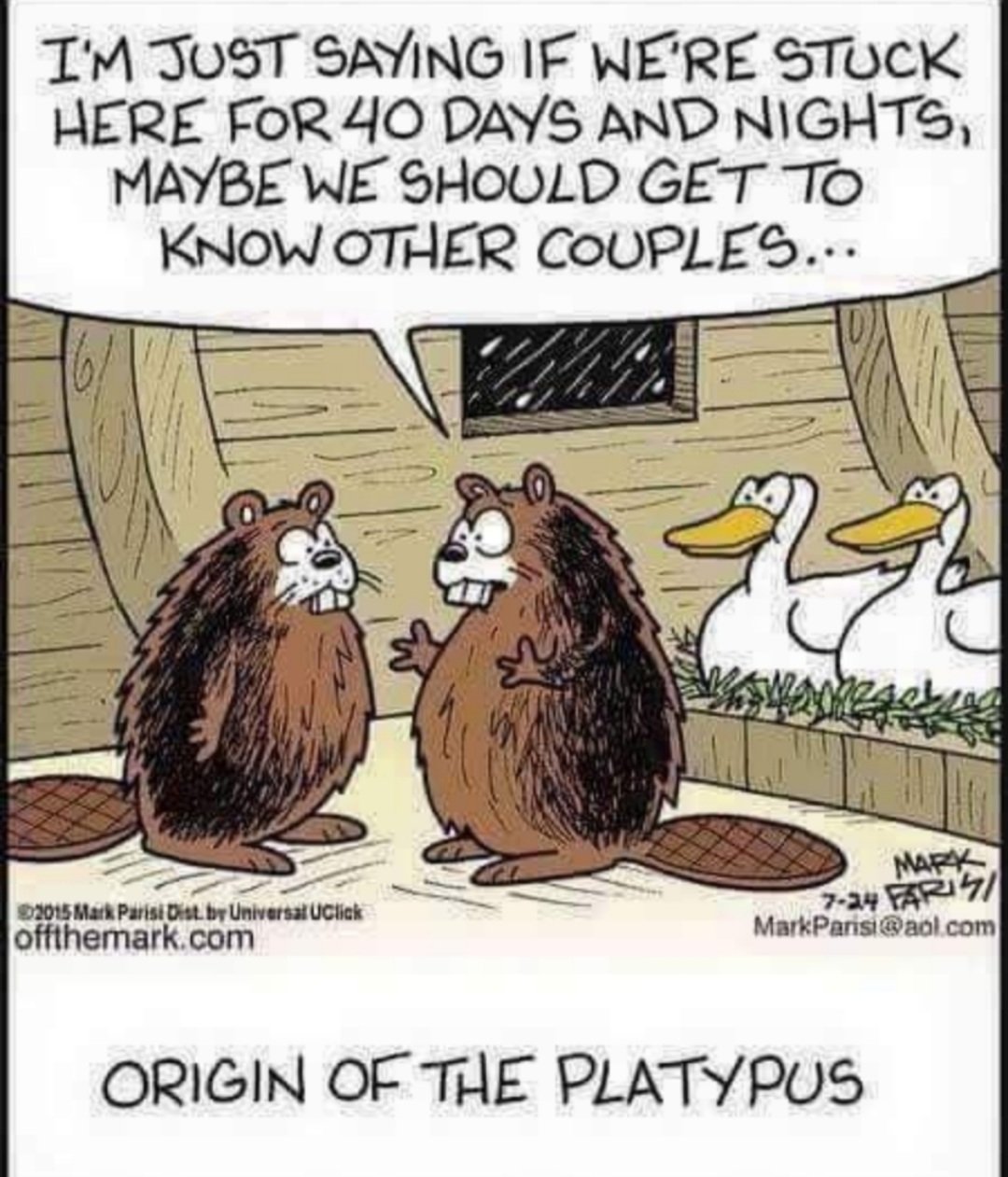 Funnies #isoAde4U