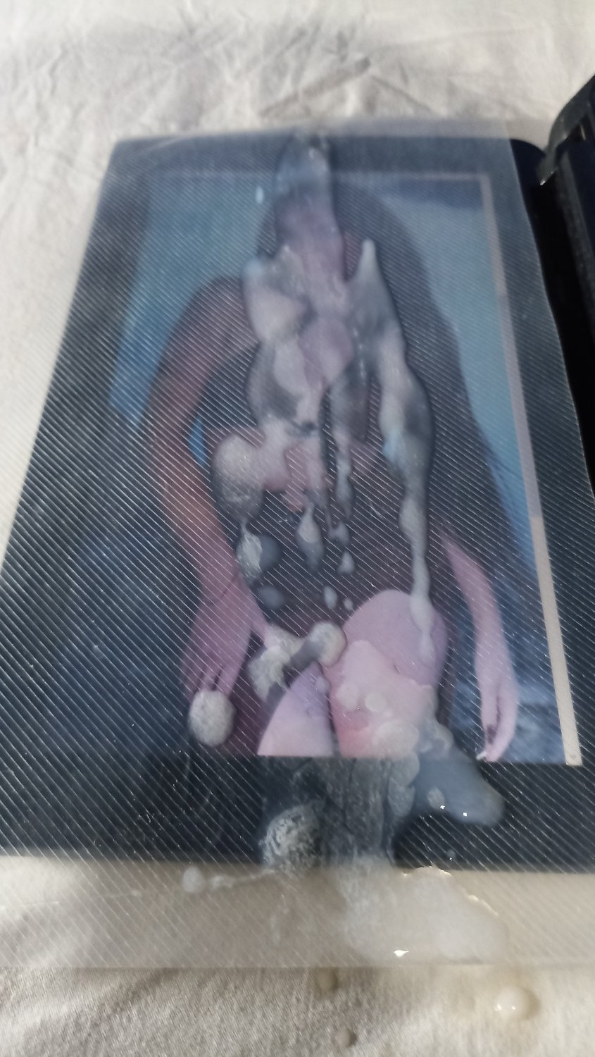 Cum Tribute Lisi Flex 27 #TSnOCo2j