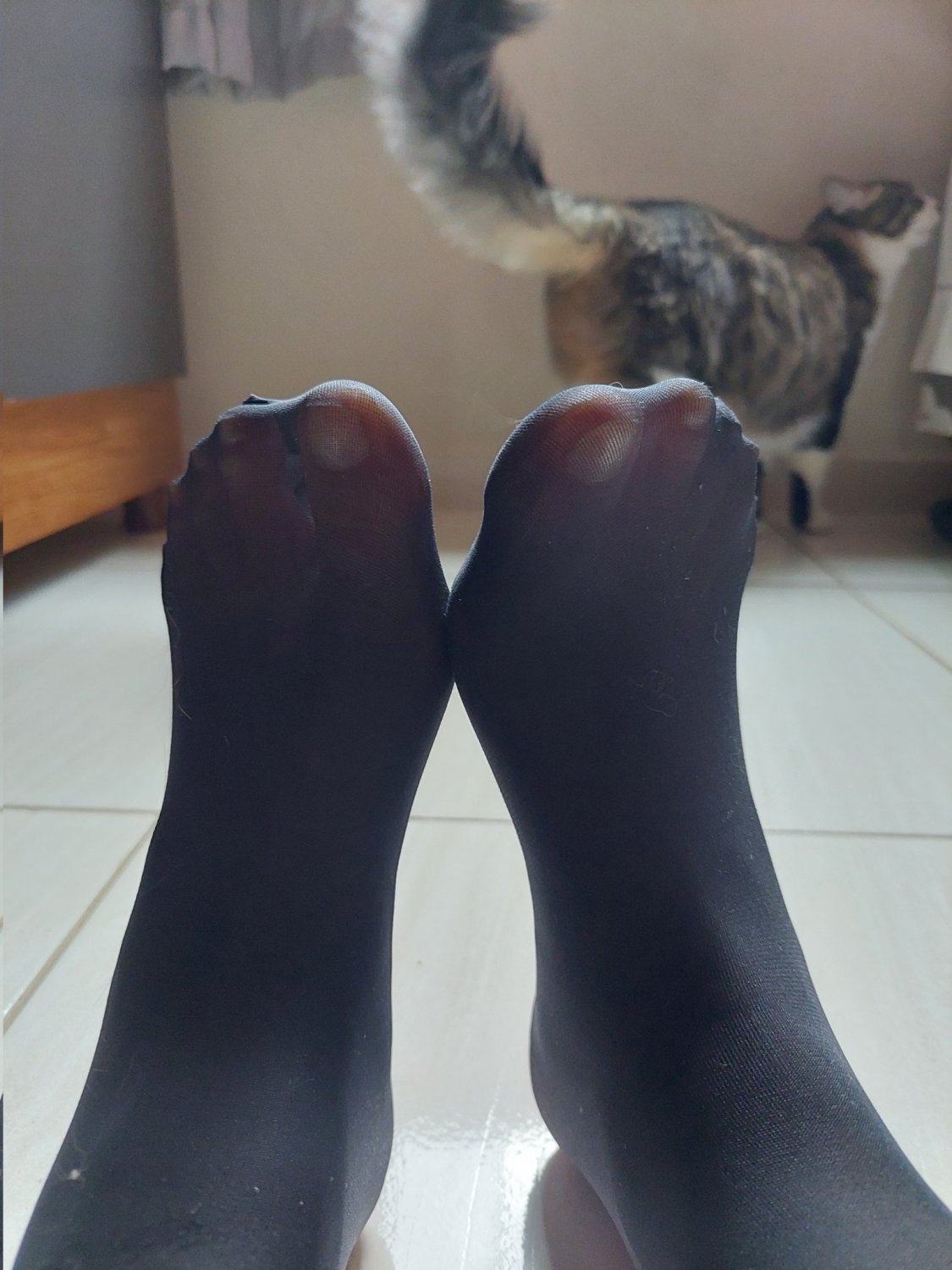 Psilocimil@ @pierc3thevei@ #sSqdkYMe