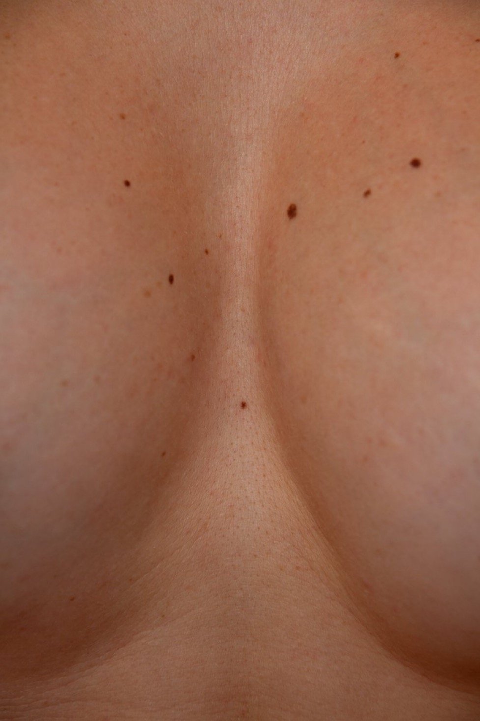 volcado de fotografías misceláneas Pt.4 #c9Emuqpq