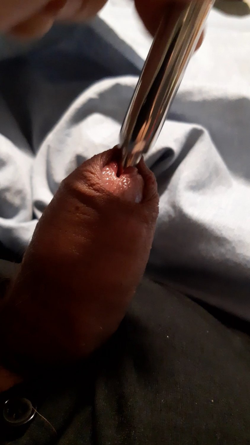 Sounding my cock with a vibrating rod #YvpO4bTW