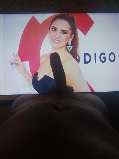Insanely hot Costa Rican TV Host cum and cock Tribute🤤🥵🔥 #86QI5YdF