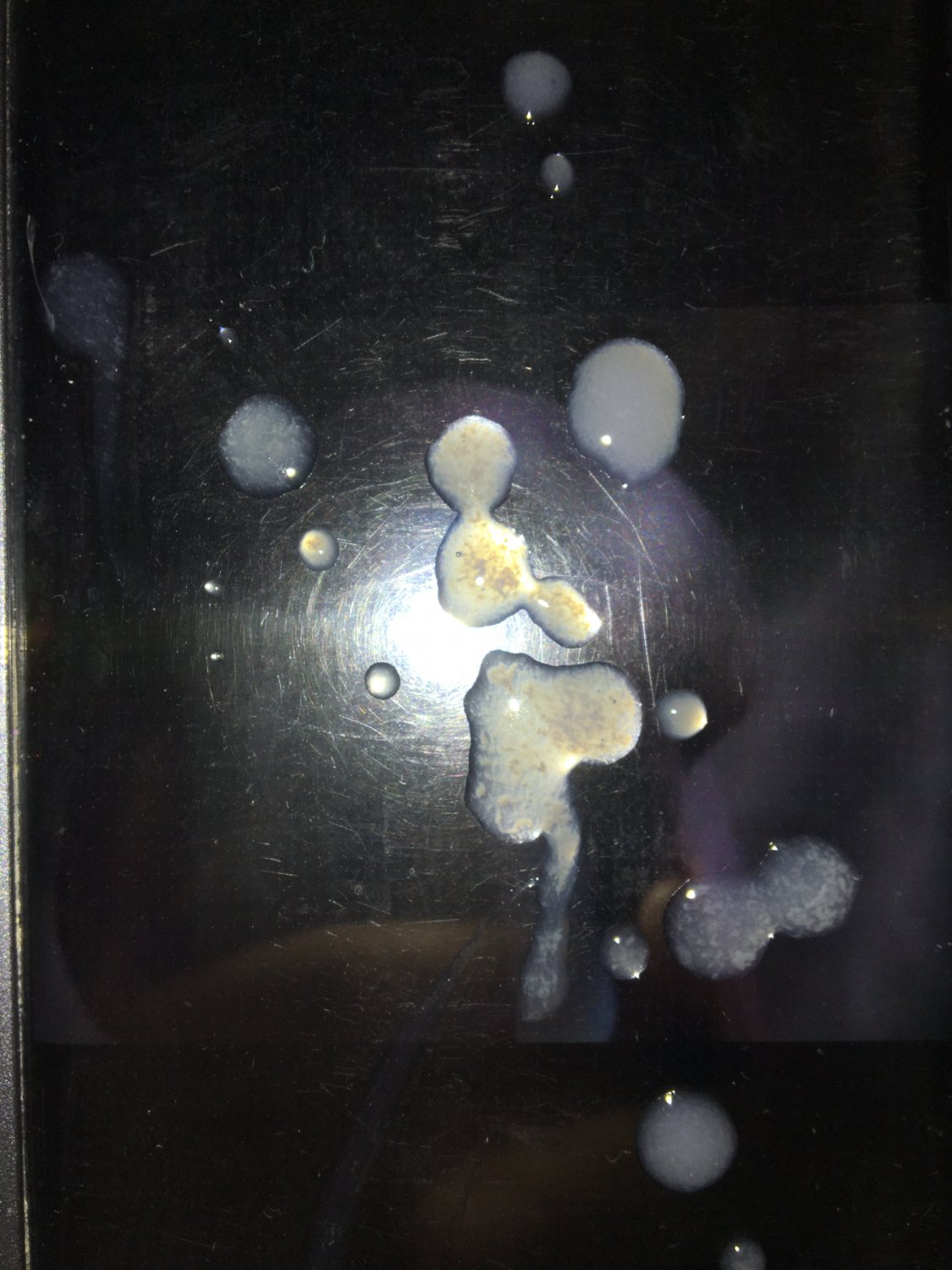 Penis cum tribute #jbV2T3oU
