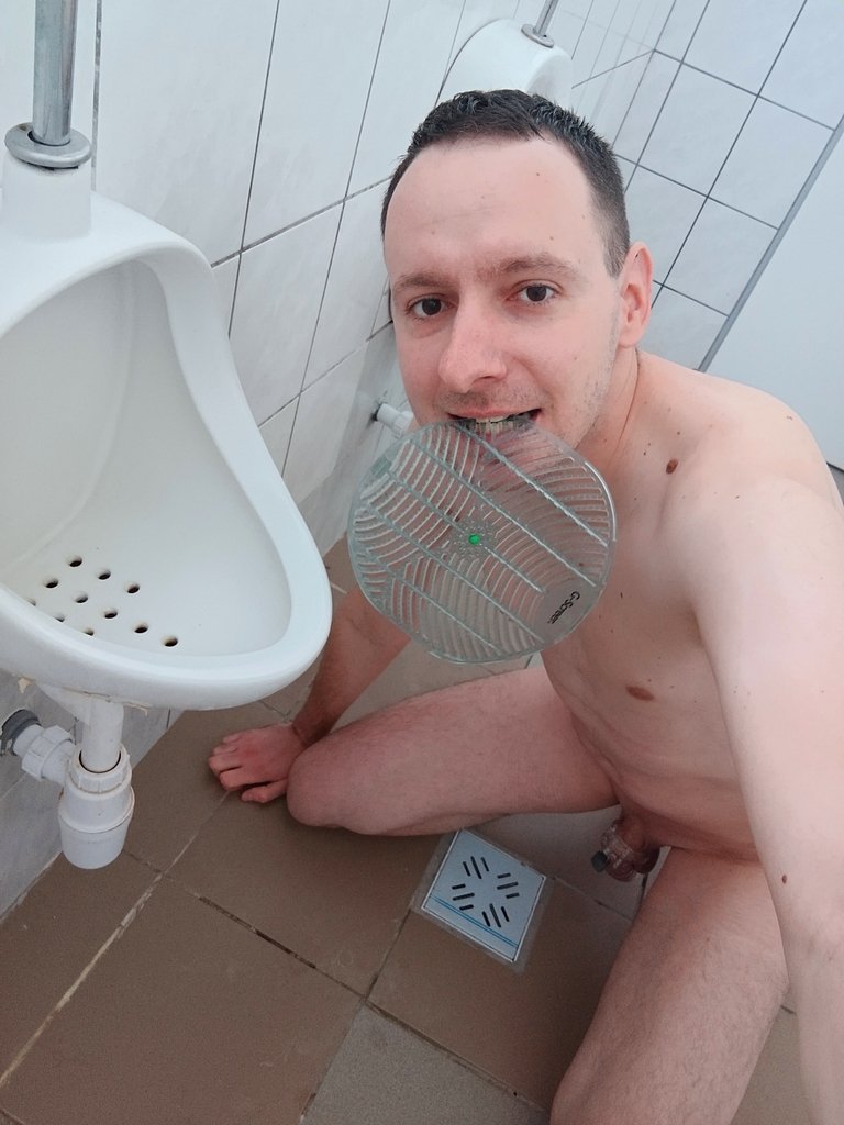 Dirty toilet faggot Alex #w3Vk0D0O