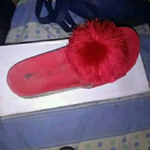 Más perritas #7uNFDTmj