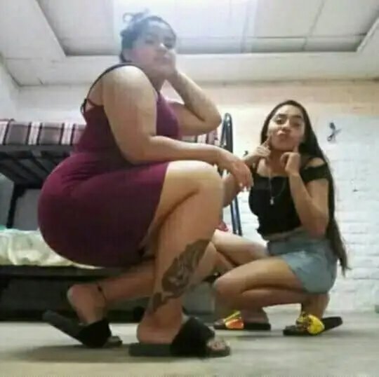 Más perritas #CJuHHBzC