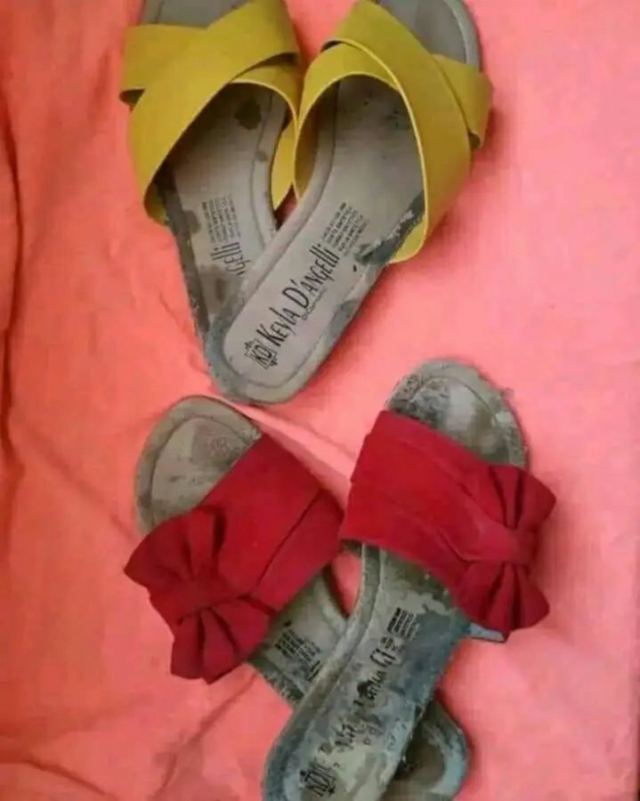 Más perritas #H5UxUEWf