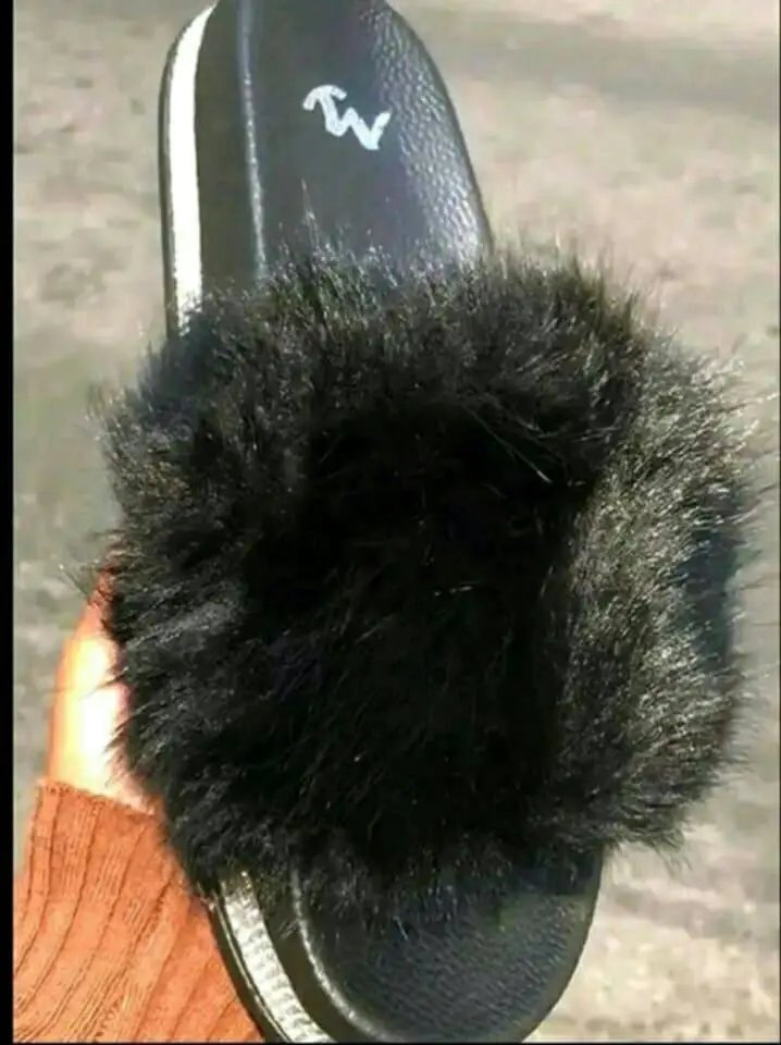 Más perritas #xCNLqtJv