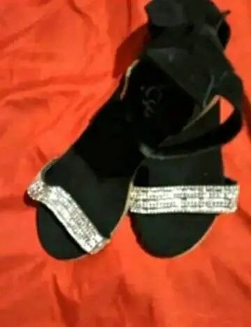 Más perritas #xajBkFkf